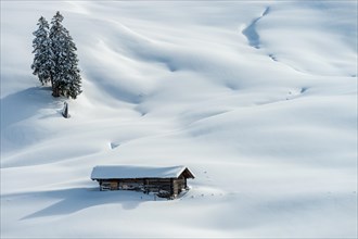 Freshly snow-covered winter landscape with a stable and trees in the Swiss mountains