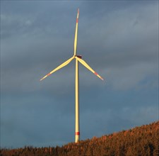 Wind turbine in a forest in the evening light