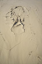 Dried cracking sandy mud in a fish shape. Drought-cracked soil patterns display the effect of lack of rain and climate change. Swakop River