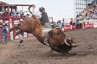 Cowboy bull riding at a rodeo