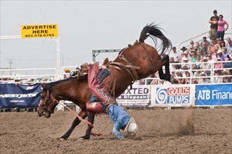Cowboy being thrown