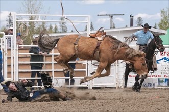 Cowboy throw from his horse