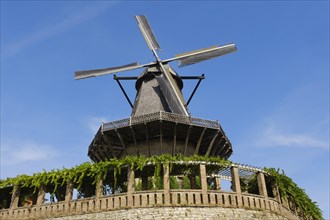 Historic windmill in Sanssouci Park