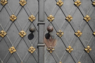 Door with golden fittings and doorknob