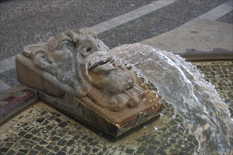 Head as fountain at the cathedral