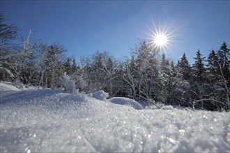 Winter landscape with snow and sunbeams with backlight