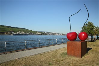 Sculpture Cherries by Bruno Feger 2011 on the banks of the Rhine with a view of Ruedesheim