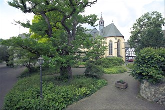 Schillerplatz with Gothic Franciscan church and oak tree