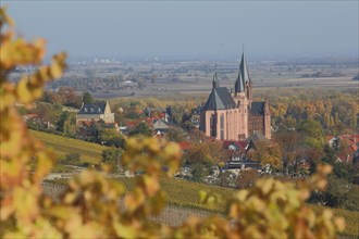 View of Oppenheim with Gothic St. Catherine's Church and golden vines