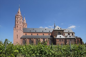 Gothic Church of Our Lady with Vines
