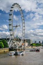 London Eye Ferris Wheel on the banks of the Thames