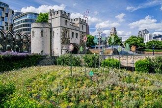 Flower border with Middletower at the Tower of London