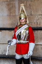 Guard soldier of the Royal Horse Guards in Whitehall