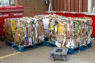 Bales of cardboard boxes on pallet for recycling