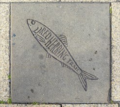 Pavement sign for Red Herring Trail