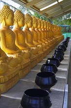 34 Buddha statues representing the 34 human organs