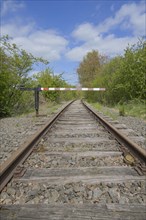 Disused railway line near Ratzeburg
