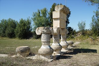 Sito Archeologico di Metaponto