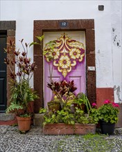 Colourfully painted door and plants on a house facade