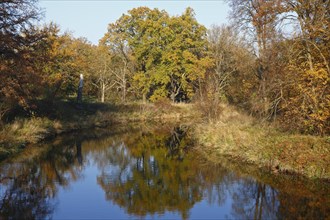 Autumn in the floodplain landscape