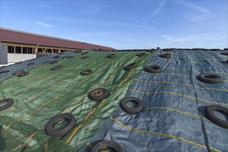 Silo cover with tarpaulins and car tyres as weights
