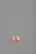 Two In Ear Hearing Aids