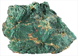 Fibrous Malachite from the Copper Queen Mine