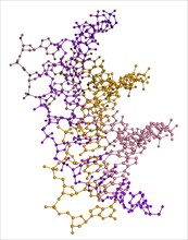 Triple Helix DNA Molecule