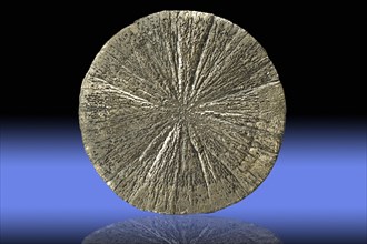 Pyrite Dollar from Sparta