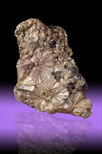 Pyrophyllite from the Ward Mine