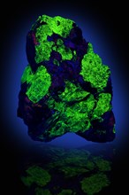 Willemite with Sphalerite Fluorescing in Ultra Violet Light: Sterling Mine