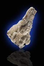 Wollastonite in Calcite