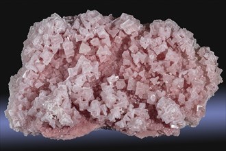 Pink Halite Crystals