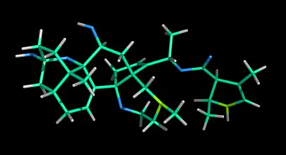 Batrachotoxin Molecule from a Golden Poison Frog