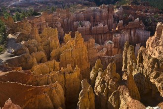 Geological Oddities in Bryce Canyon