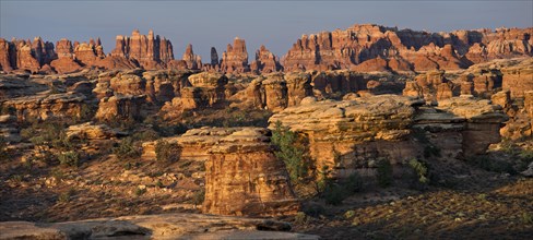 The Needles District