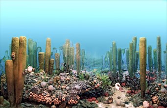 Ancient Permian Ocean