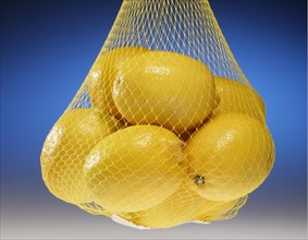 Net of Lemons