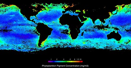Phytoplankton Ocean Map