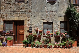 Flower decorations in front of the houses in the historic centre of the village of Sovana