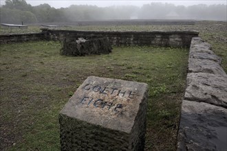 Memorial stone for the Goethe Oak at beech forest Concentration Camp