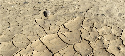 Clay soil with dry cracks