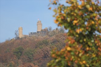 View of Auerbach Castle