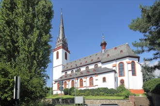 Late Gothic St. Mark's in Erbach