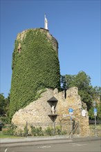 Ingrown Sebastian tower with ivy in Eltville