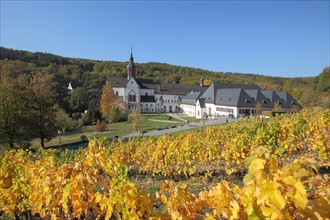 Eberbach Monastery with vines in golden autumn in the Rheingau