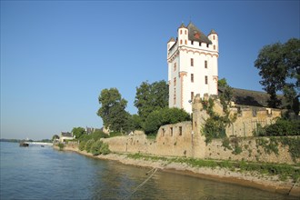 Electoral castle and landmark on the banks of the Rhine in Eltville im Rheingau