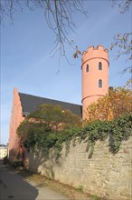 Crass Castle in Eltville