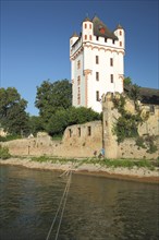 Electoral castle on the banks of the Rhine in Eltville