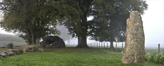 The Grand Dolmen de Weris in the mist